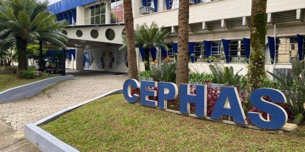 Fundhas oferece 1.265 vagas para mais oito cursos