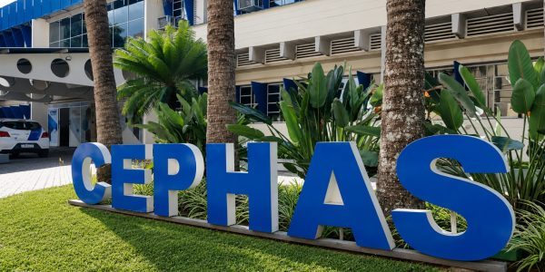 Cephas divulga lista de aprovados no vestibulinho