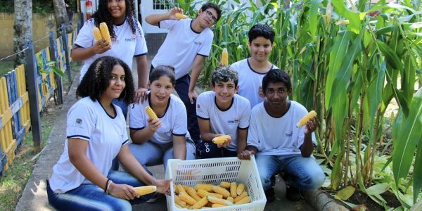 Cultivo de milho enriquece aprendizado de alunos