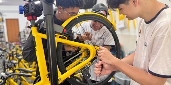 Cephas oferece mais quatro cursos presenciais gratuitos