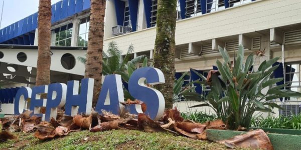 Cephas recebe manutenção e melhorias