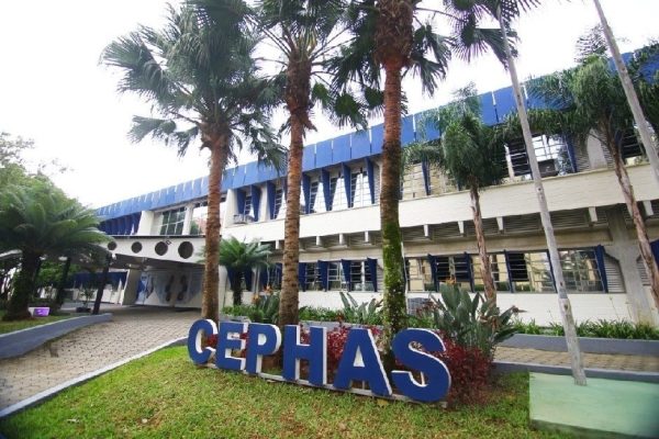 CEPHAS – Colégio de Educação Profissional Hélio Augusto de Souza