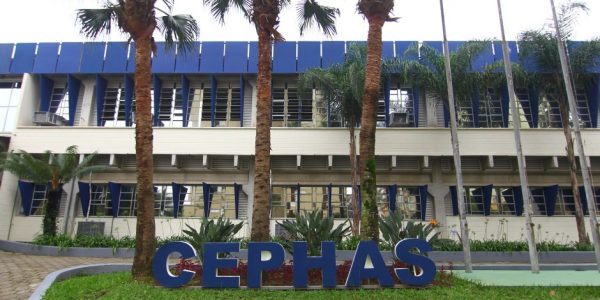 Cephas abre 1.000 vagas para cursos EAD