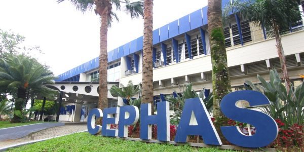 Inscrições para cursos EAD do Cephas vão até domingo