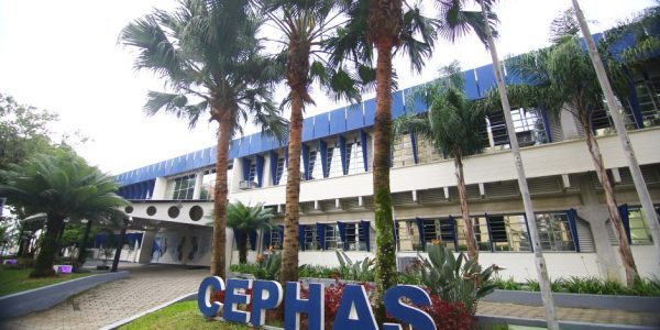 Cephas oferece novas vagas para cursos à distância