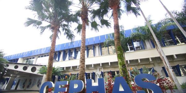 Cephas abre 3.400 vagas para novos cursos à distância