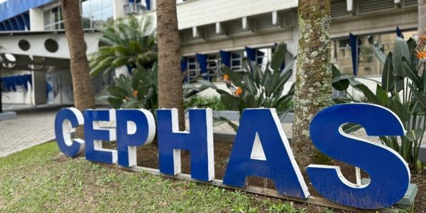 Cephas divulga resultado preliminar do Vestibulinho 2024