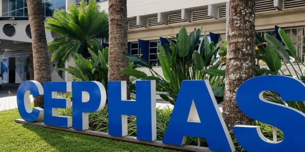 Cephas abre inscrições para cursos no Portas Abertas