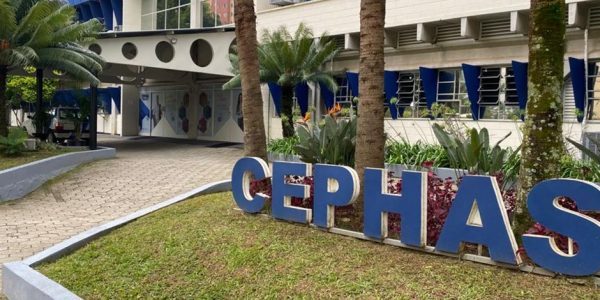 Cephas Carreiras amplia atendimento a jovem de São José