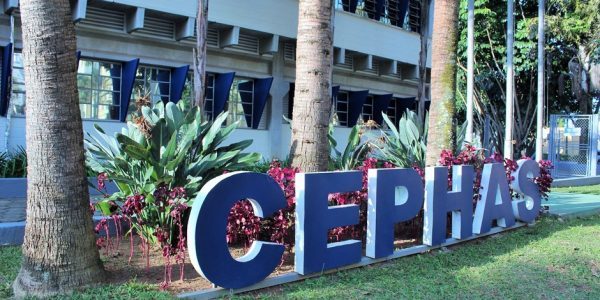 Fundhas diploma quase 900 alunos do Cephas nesta semana