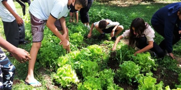 Fundhas Putim realiza oficina de alimentação alternativa