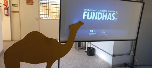 Camelídeos na América do Sul