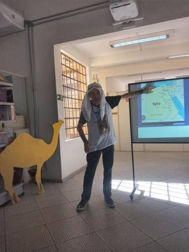 Camelídeos na América do Sul